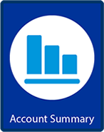 A chart icon for Account Summary option